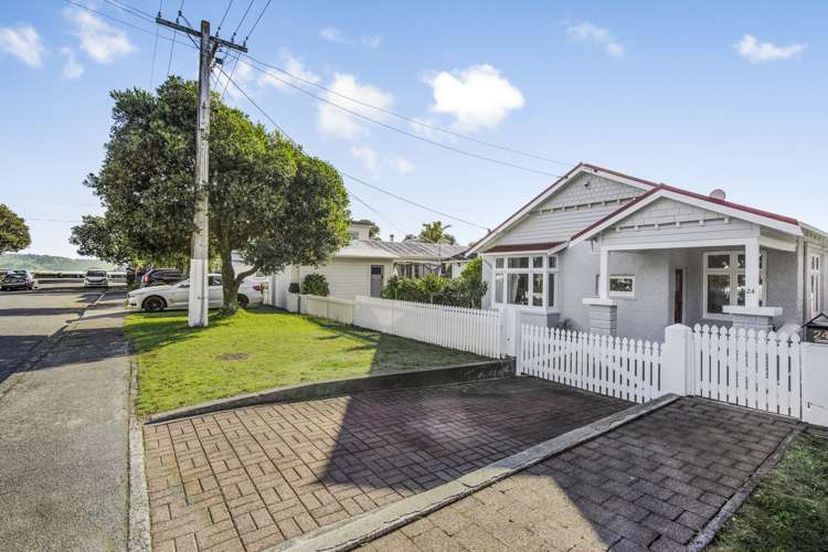 24 Kauri Street Eastbourne_18