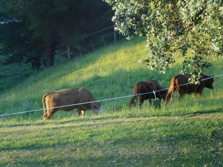 20 Derham Road Te Horo_21