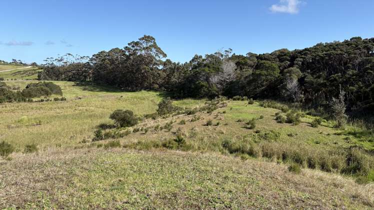 Lot 8 4815 State Highway 1 Houhora_26