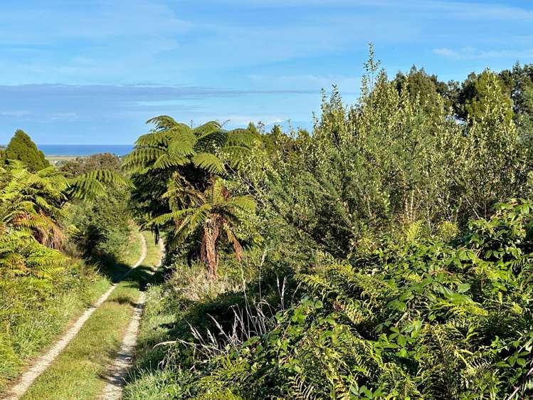 70 Sunset Heights Road Karamea_14