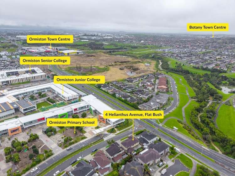 4 Helianthus Avenue Flat Bush_25