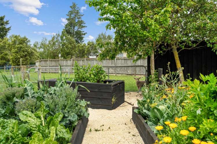 19 King Street Waimate_17