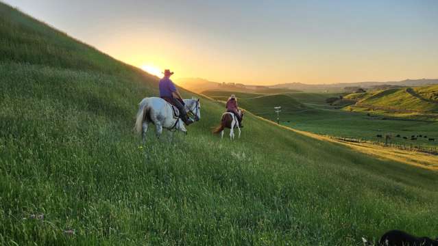 964 Tarata Road Kaimata_4