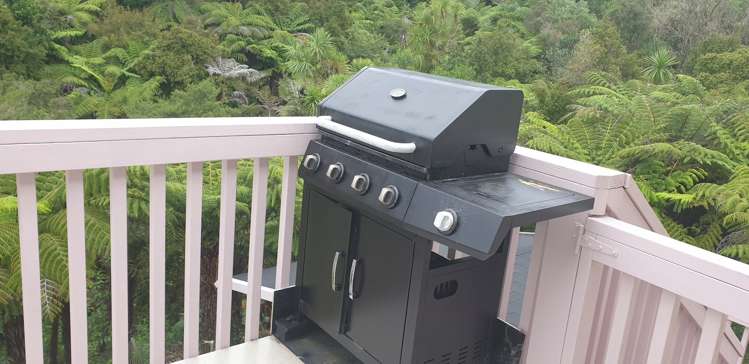 3 Lincoln Close Northcross_13