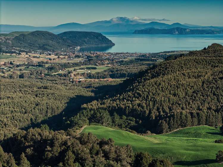 Poihipi Road Wairakei_2