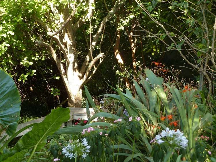 204 Mount Sea Road Thames_19