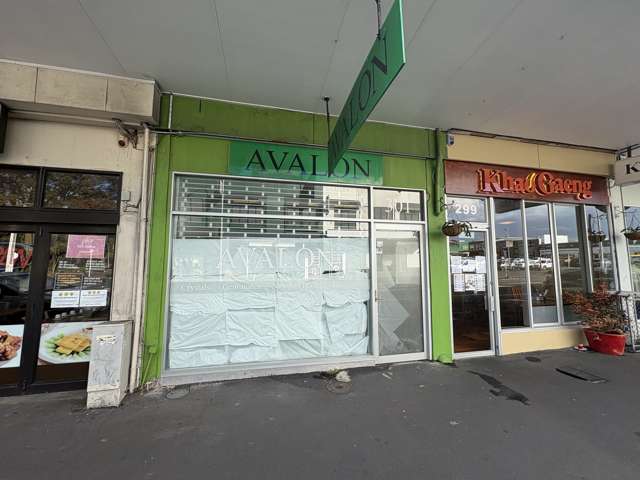 301 Dominion Road Mt Eden_3