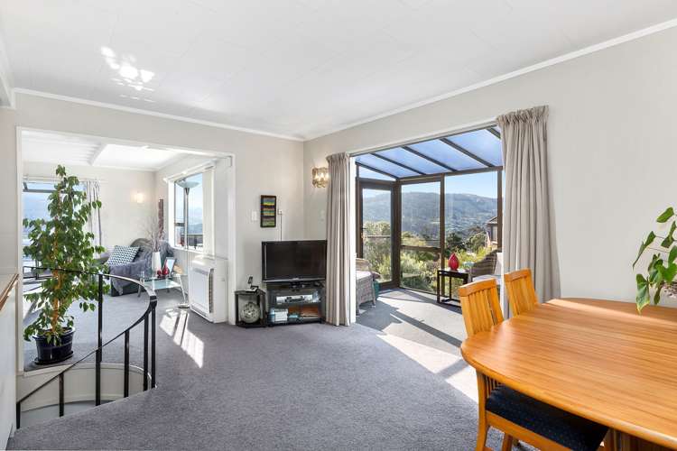 217 Larnach Road Waverley_8