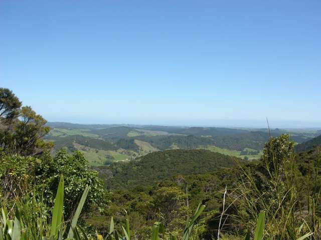 75 Omatai Road Peria_1