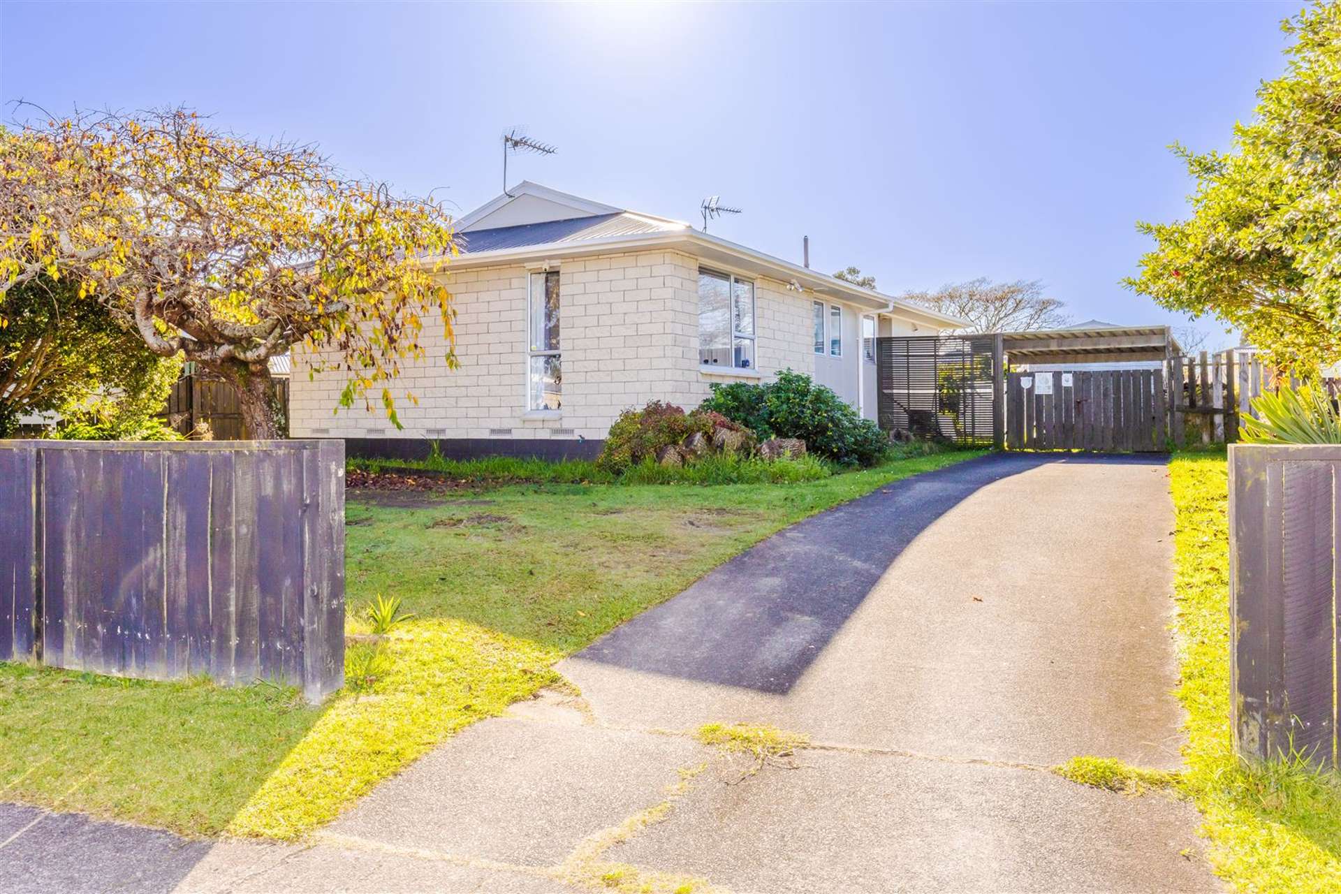 20 Aileen Place Nawton_0