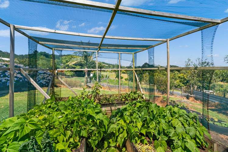 292 Pipiwai Road Ngararatunua_22