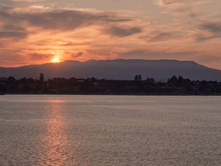 23b Kings Avenue Matua_16