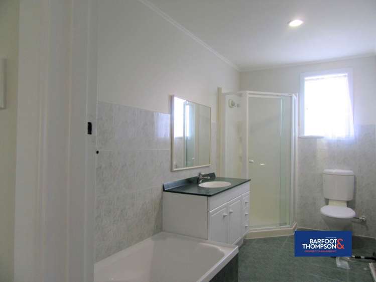 58 Webster Avenue Mount Roskill_7