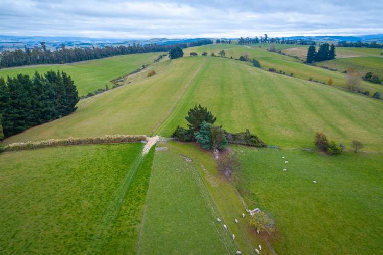 55 Dinda Road Waitohi_3