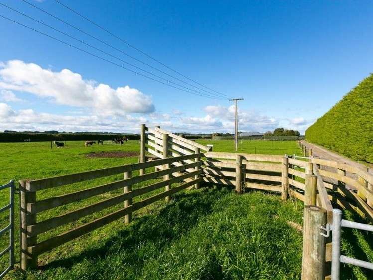 5881 Mountain Road Normanby_46