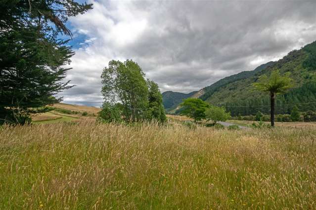 Wakamarina Road Havelock_4