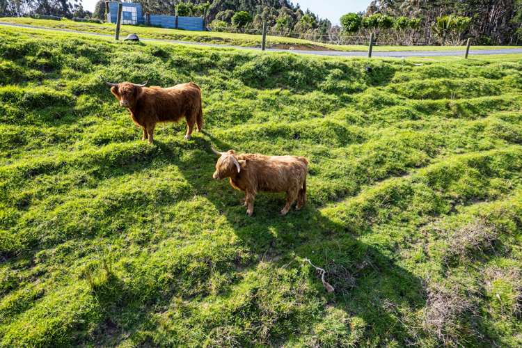 161B Clements Road Matapouri Bay_18