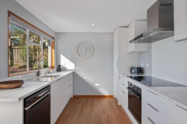 14 Leicester Street Picton_1