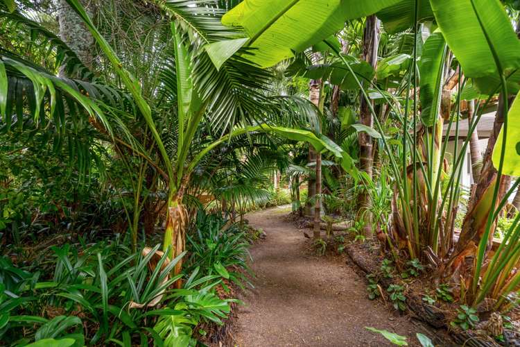 10 Lyons Avenue Murrays Bay_28