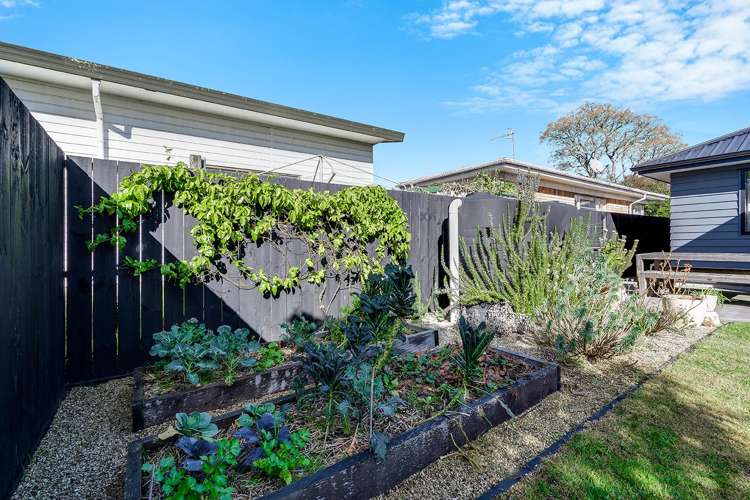 1/6 Walsh Street Forest Lake_14
