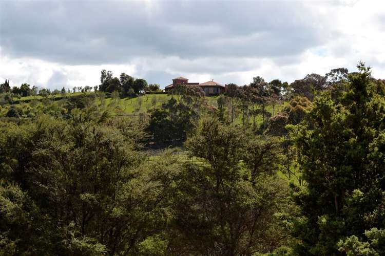 105 Wilma Road Ostend_8