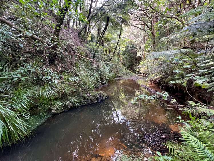 974 Cove Road Waipu_5