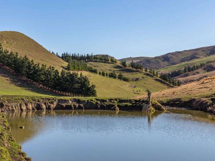 1006 Glenmark Drive Waipara_19