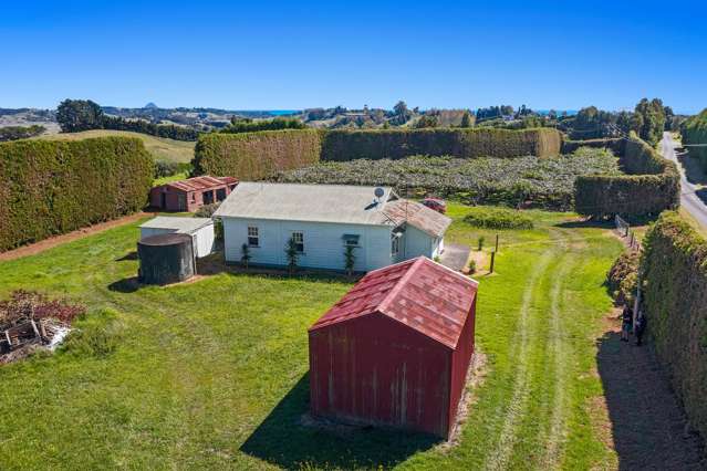 522 Paerata Ridge Road Opotiki and Surrounds_2