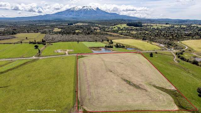 Big mountain, big skies