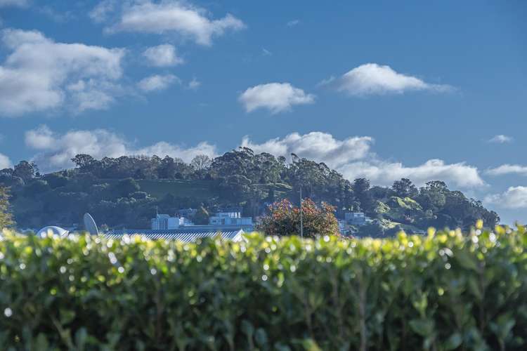 24a Halesowen Avenue Sandringham_12