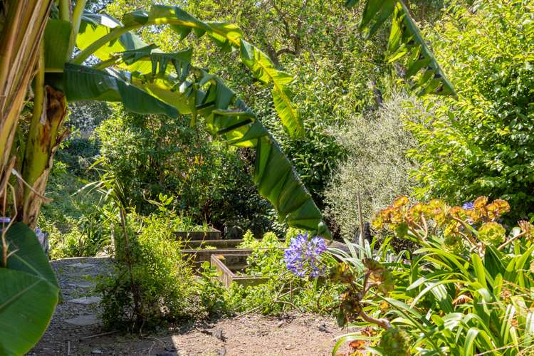 15a Alexander Road Raumati Beach_21