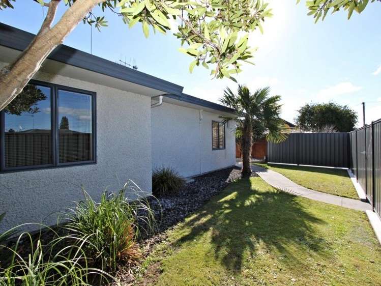 2/155 Guppy Road Taradale_11