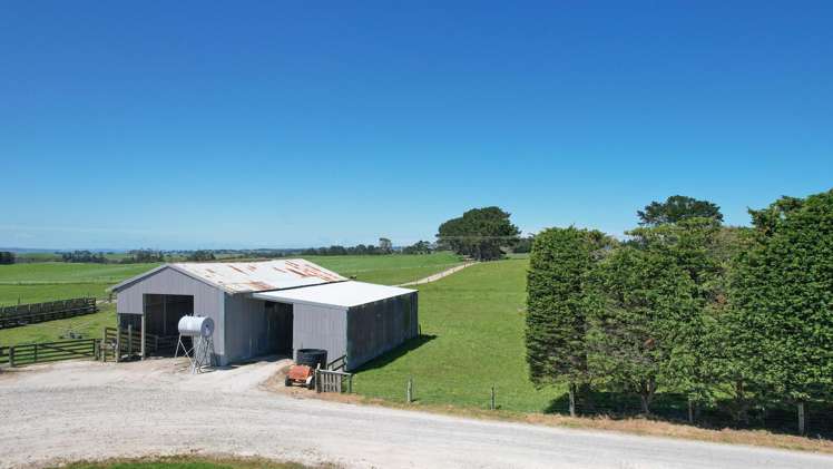 2611 Pouto Road Te Kopuru_21