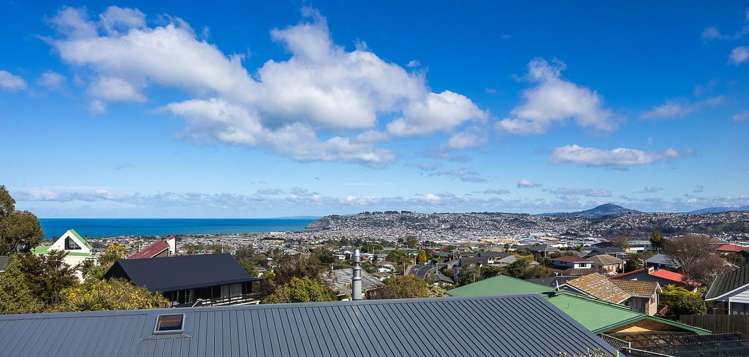 244 Larnach Road Waverley_10