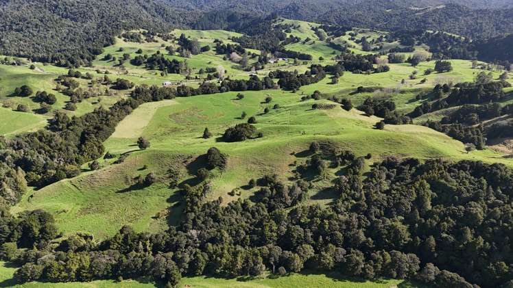 30C Te Ranga Road Kaeo_32