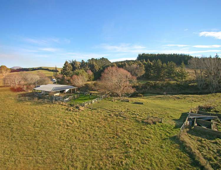 729 Palmerston-Waikouaiti Road Palmerston_15