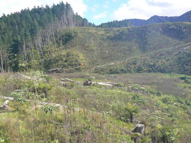 Lot 27 Iwitaua Road Mangamuka_2