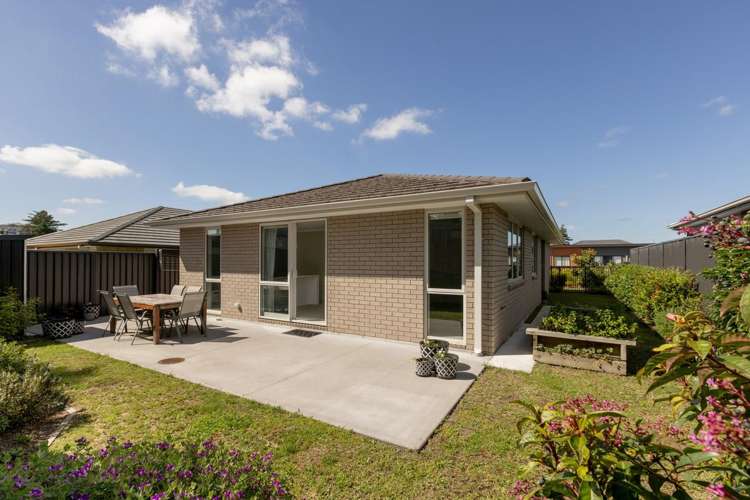 88 Sentinel Avenue Omokoroa_14