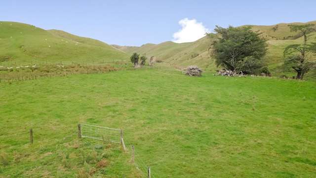 420 Mangaoranga Road Eketahuna_4