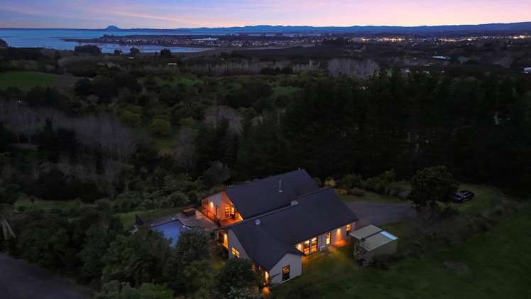 53C Woodland Road Tahawai_21