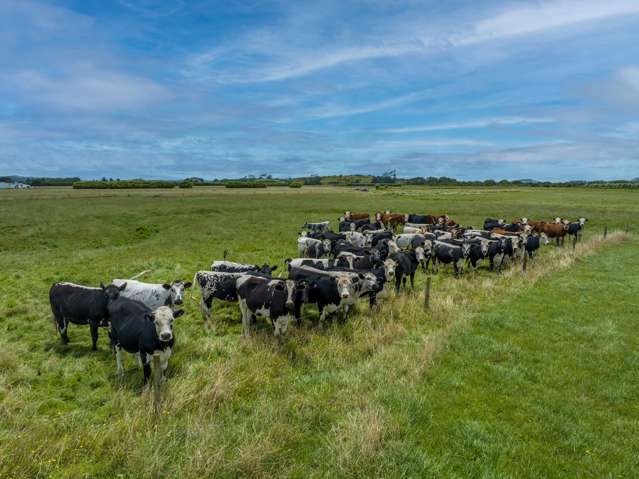 29 Gilchrist Road Otaua_3