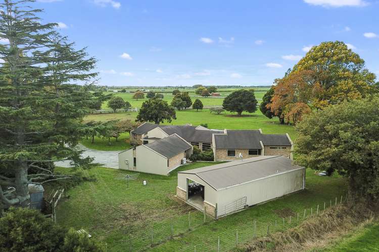 942 Horrell Road Morrinsville_18
