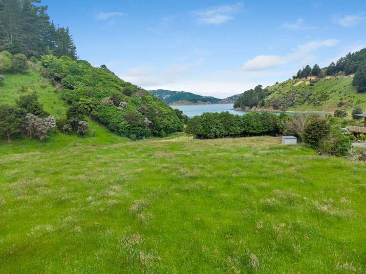 Kakapo Bay Port Underwood_8