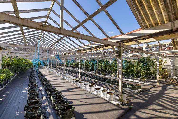 98 Lansdowne Road Richmond_15