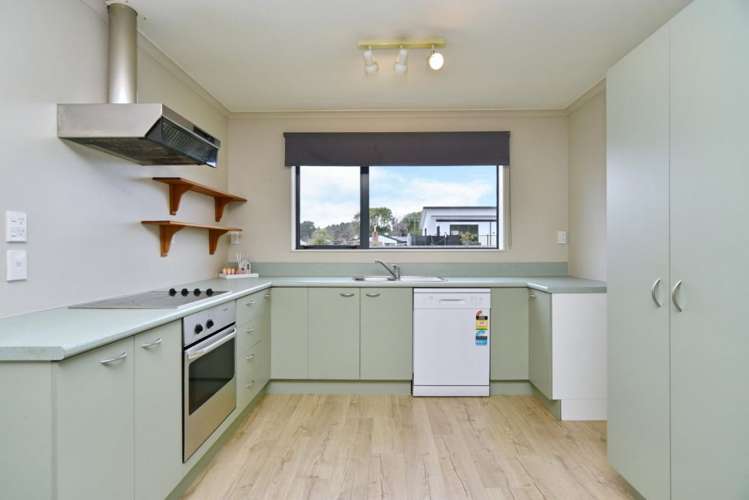 2a Smarts Drive Leithfield_5