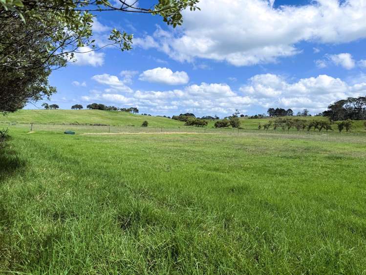 1034 Pouto Road Te Kopuru_22