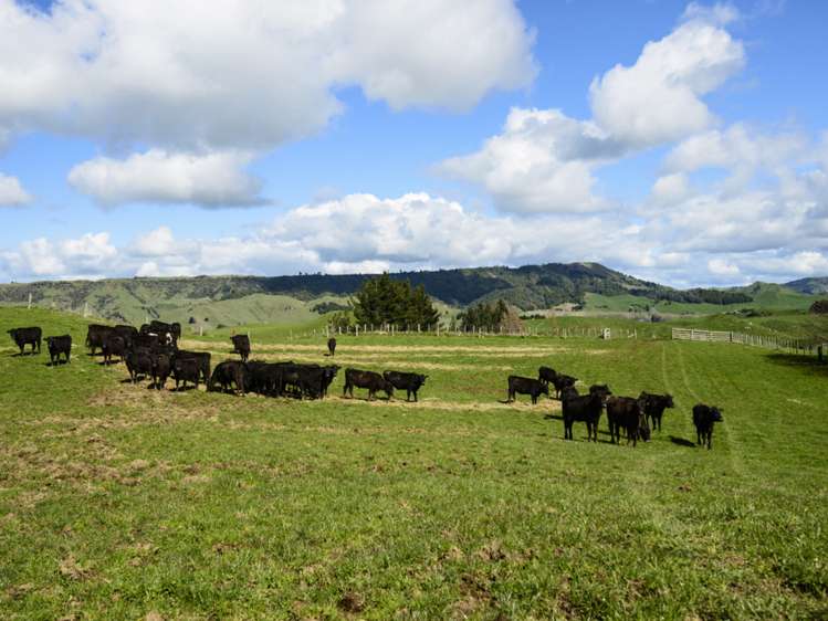 208 Smiths Road Ohakune_14