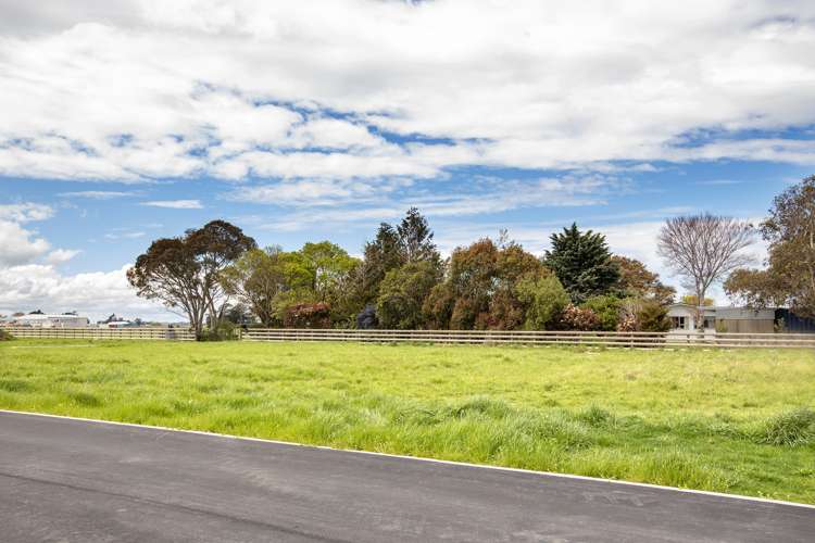 17 Madison Street Cambridge_6