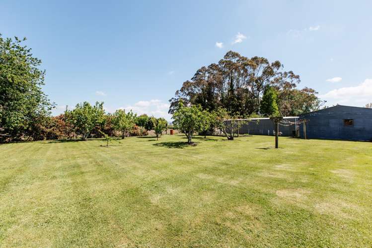 408a Awakeri Road Edgecumbe_38