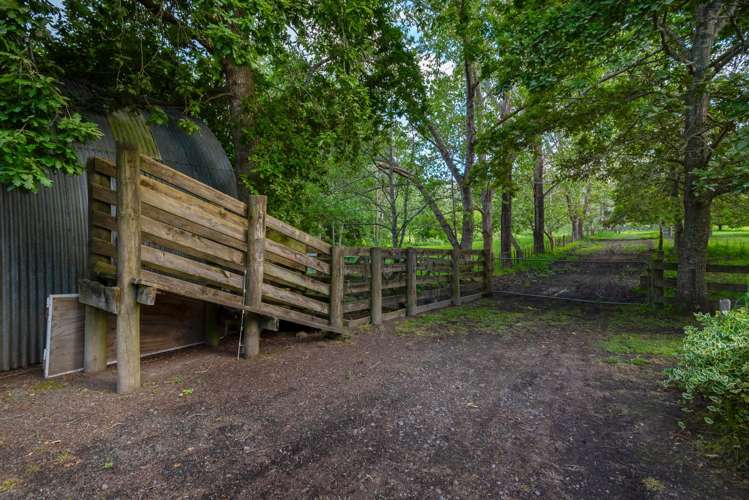 435 Pine Valley Road Dairy Flat_43